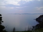 Превью фото № 185093