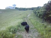 Превью фото № 185094