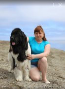 Превью фото № 185097