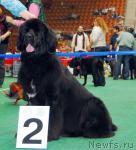 Превью фото № 18511