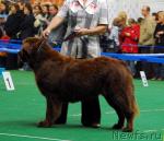 Превью фото № 18518