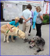 Превью фото № 185215