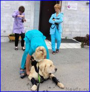 Превью фото № 185219