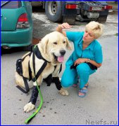 Превью фото № 185222