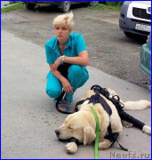 Превью фото № 185223