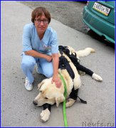 Превью фото № 185224