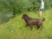 Превью фото № 185310