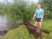 Превью фото № 185311