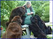 Превью фото № 185332