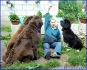 Превью фото № 185334