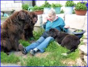 Превью фото № 185335