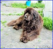 Превью фото № 185346