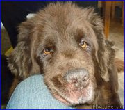 Превью фото № 185356