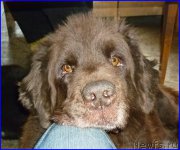 Превью фото № 185359