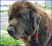 Превью фото № 185361