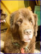 Превью фото № 185362