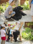 Превью фото № 185479