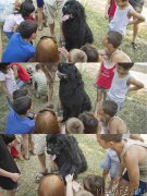 Превью фото № 185487