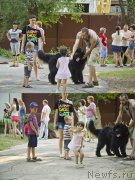 Превью фото № 185492