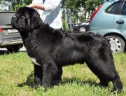 Превью фото № 185514