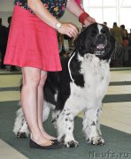 Превью фото № 185533