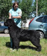 Превью фото № 185536