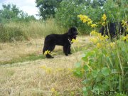 Превью фото № 185537