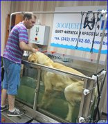 Превью фото № 185556