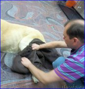 Превью фото № 185559