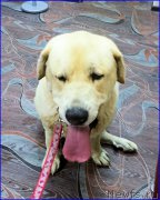 Превью фото № 185562