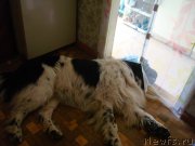 Превью фото № 185571