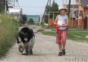 Превью фото № 185616