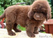 Превью фото № 185632