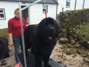 Превью фото № 185726