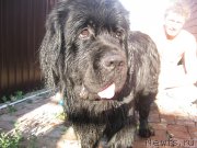 Превью фото № 185729