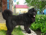 Превью фото № 185730