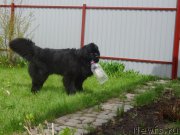 Превью фото № 185731