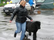 Превью фото № 185766