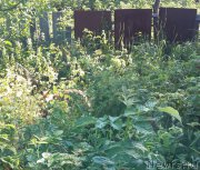 Превью фото № 185851