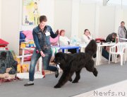 Превью фото № 185936