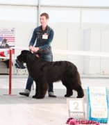 Превью фото № 185937