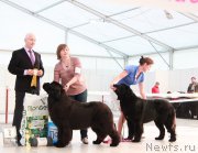 Превью фото № 185939