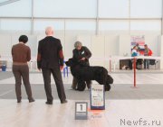 Превью фото № 185952