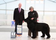 Превью фото № 185954