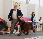 Превью фото № 185955