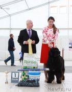 Превью фото № 185968