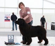 Превью фото № 185970