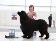 Превью фото № 185971