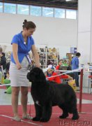 Превью фото № 185977