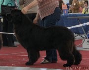 Превью фото № 185980